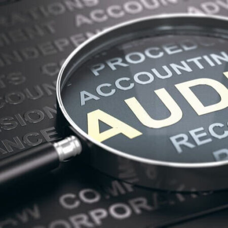 Auditing (Internal & External)